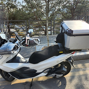 pcx 2019년식