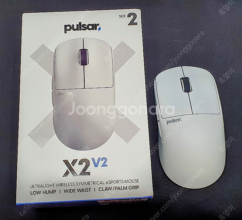 펄사 게이밍 마우스 x2v2 화이트 size 2 미디움--0