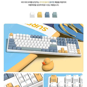 한성 GK898B PRO 염료승화 EDITION 8K