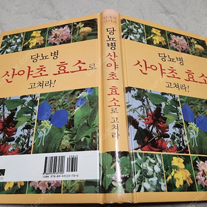 당뇨병 산야초 효소로 고쳐라! 명품 한의학 서적