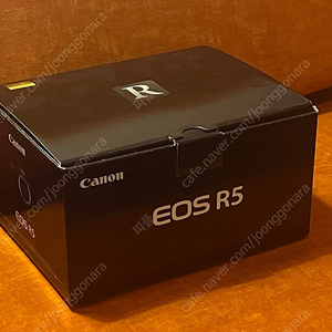 캐논 canon eos R5 판매