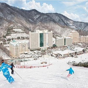 [당일가능]비발디파크/웰리힐리파크/용평리조트 주간권/리프트권/리프트 렌탈