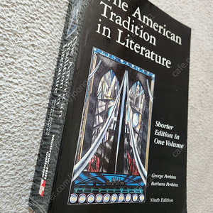 [영문학] The American Tradition in Literature /