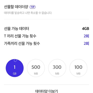 Skt 데이터 2기가 3000원