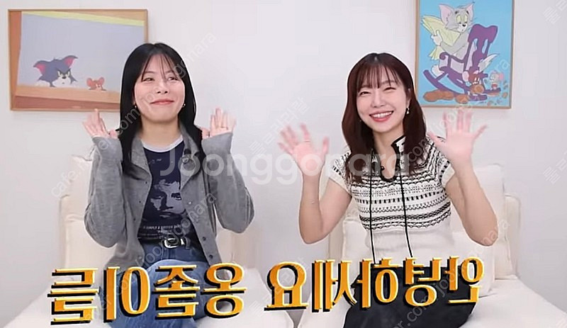 자라 레이디제인 반팔 니트 새상품--1