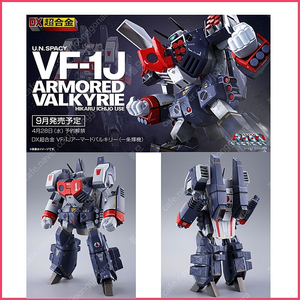 삽니다) vf-1d펫레이서 vf-1j 아머드세트 vf-31c 슈퍼파츠포함 vf-31e vf-1대응미사일 삽니다