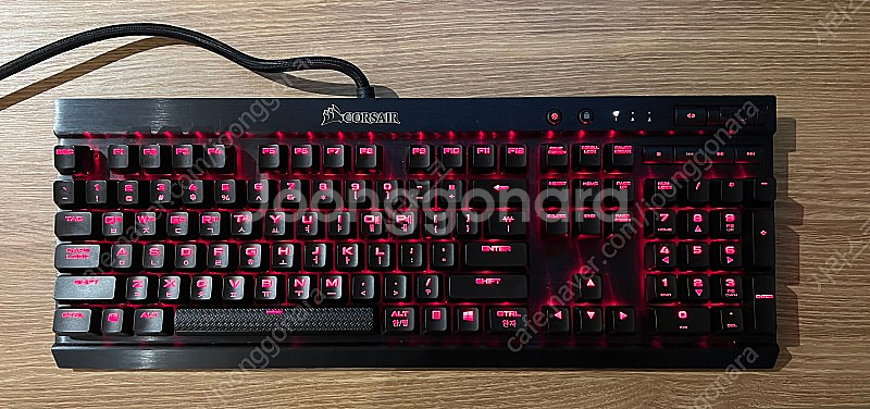 레오폴드 FC900R + 커세어 K70 LUX--1