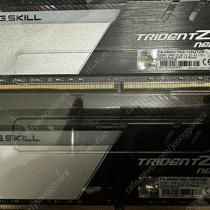 G.SKILL TRIDENT Z NEO 128GB 램