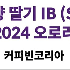 커피빈 설향딸기 Ib