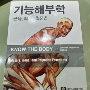 기능해부학 근육,뼈대,촉진법