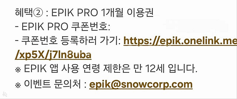 EPIK PRO(에픽프로) 1개월 이용권 판매합니다--0