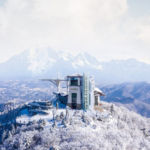 용평리조트~콘도호텔숙박+리프트~피크아일랜드~발왕산케이블카~눈썰매장