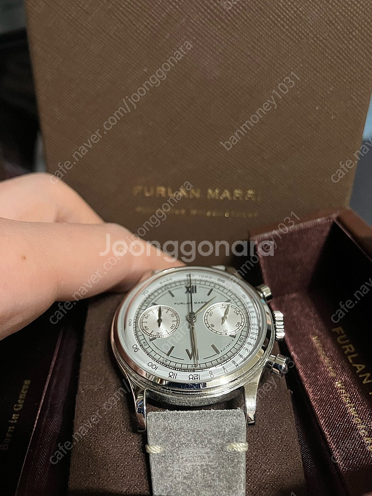 풀란마리 furlan marri mr.grey (GPH...--1