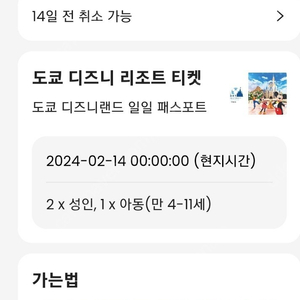 디즈니랜드도쿄입장권 2월 14일