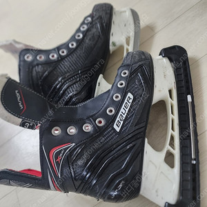 주니어 아이스하키 스케이트 VAPOR X300
