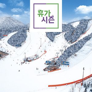 (2월3월) 휘닉스/비발디파크/용평/오크밸리/엘리시안/웰리힐리/무주