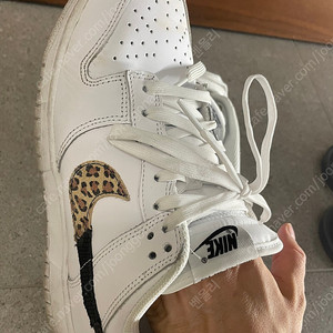 나이키 덩크로우 호피로고 Nike Dunk Low SEPrimal White