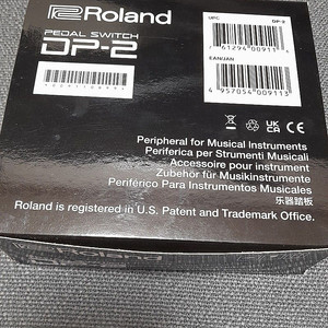 Roland DP-2 페달