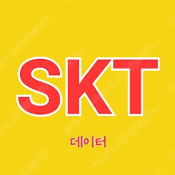 SKT데이터 1기가당 2000원에 총 2기가 판매합니다