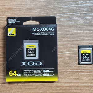 니콘 XQD 64GB