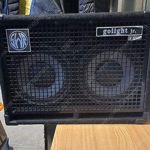 golight Junior 400W 2X10 Bass Speaker Cabinet