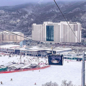 망했어요~홍천비발디파크~눈물의판매~숙박올인패키지(스노위랜드~주중주말