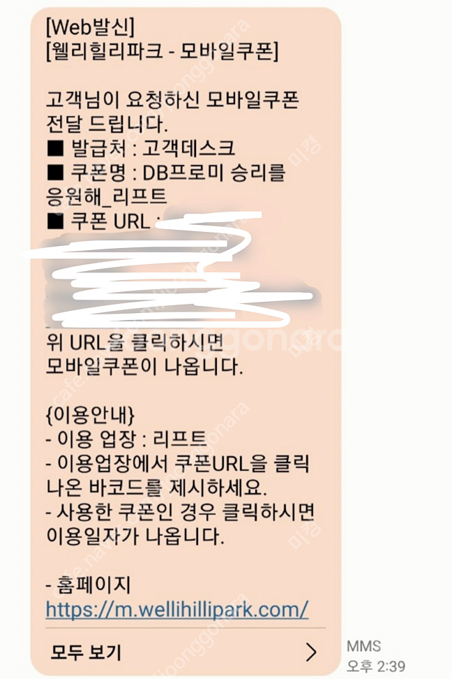 웰리힐리파크 리프트 8시간/ 장비렌탈 8시간 모바일 쿠...--1