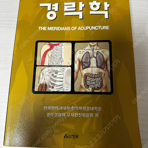 경락학 the meridians of acupuncture (도서출판 정담)