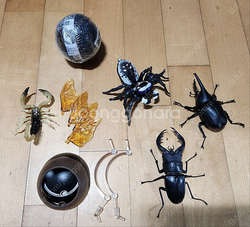 반다이 생물도감 말벌, 거미, 전갈, 사슴벌레, 장수풍...--0