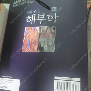 GRAY's anatomy 그레이 해부학 4판