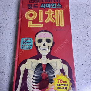 빌드사이언스 인체(만들기 책)-과학공부에 유용