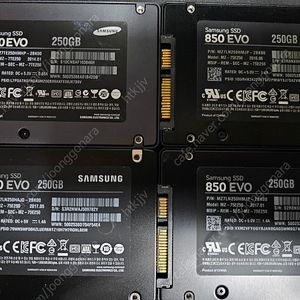 WD, 삼성 SSD 240GB, 250GB 각각 팝니다