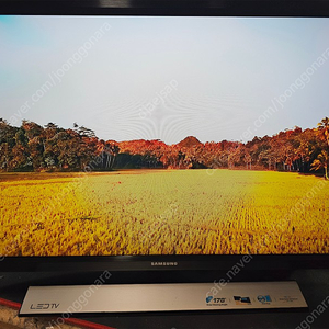 삼성 24인치 T24E313 LED TV 팝니다