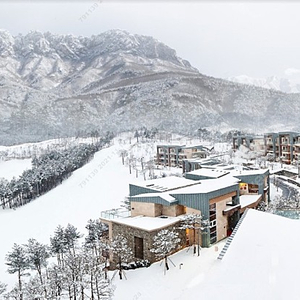 (2월17일) 영종도 무창포 천안 단양 경주 부여 등