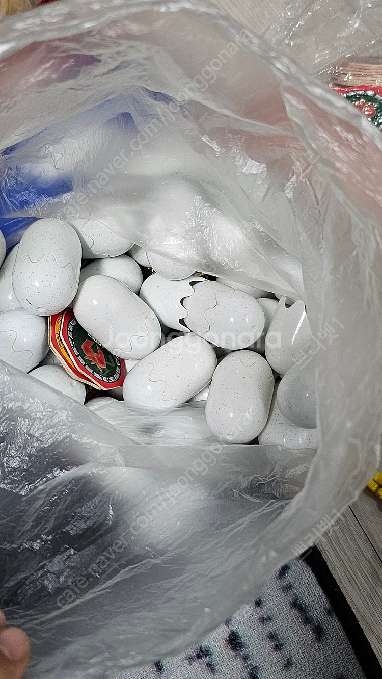 공룡메카드 타이니소어 46 (택포)--5