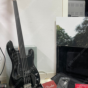 펜더 USA 토니 프랭클린 프렛리스 프레시젼 베이스 Fender USA Tony Franklin Fretless Precision Bass