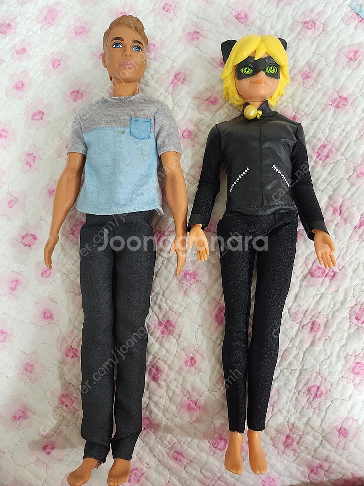 바비 켄 캔 블랙캣 관절인형 일괄 2만원--0