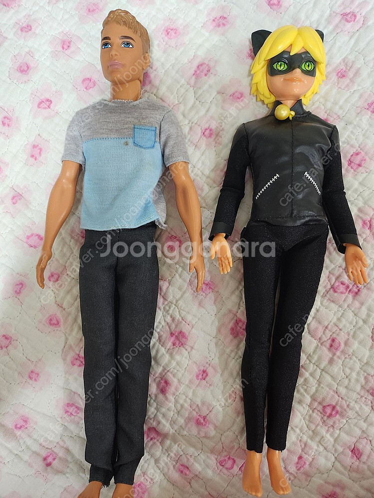 바비 켄 캔 블랙캣 관절인형 일괄 2만원--1