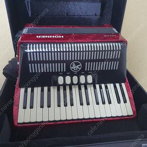 Hohner III 60 아코디언