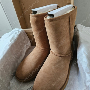 미국 ugg 클래식 숏 2 250 새상품