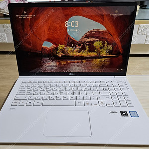 LG그램노트북 15z980-gpsvl 15.6인치거의새