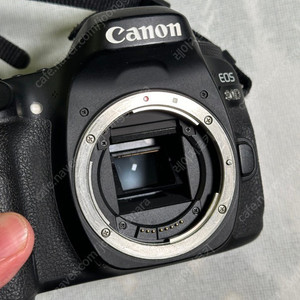 Canon 80D 카메라