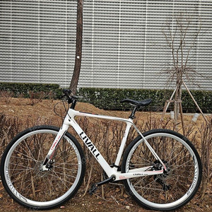 livall 카본 하이브리드 자전거