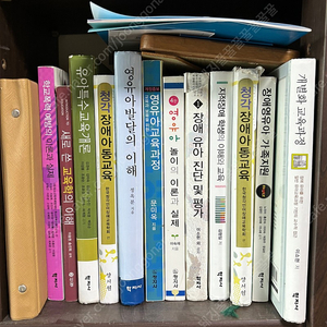 청각장애아동교육, 유아특수교육개론, 영유아발달의 이해, 영유아교육과정, 영유아 놀이의 이론과 실제, 지적장애학생의 이해와 교육, 장애영유아가족지원, 개병화교육과정