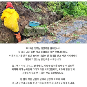 정월대보름 맞이 햇잡곡 판매합니다.