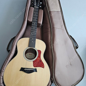 테일러 GS Mini Guitar Sapele