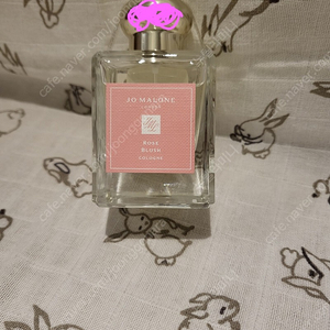 조말론 (JO MALONE) 로즈 블러쉬 코롱 50 ml 미개봉 새상품