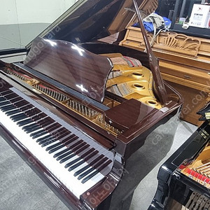 (판매)영창베이비그랜드피아노 G-157 월넛트 유광