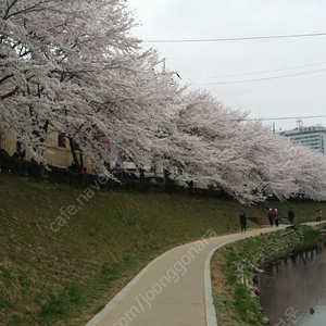 부릉이 20 구입원합니다