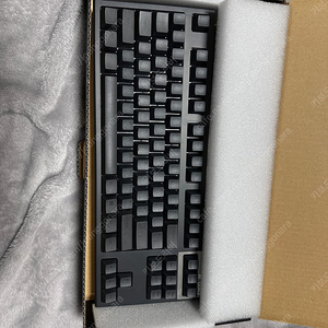리얼포스 R2 55g 균등 블랙 (Realforce R2TL-US5-BK)